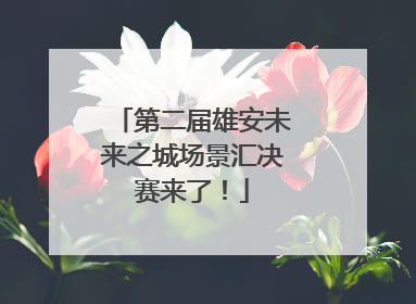 第二届雄安未来之城场景汇决赛来了！