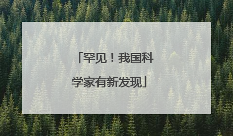 罕见！我国科学家有新发现