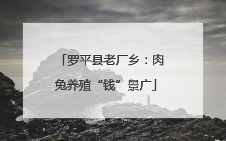 罗平县老厂乡：肉兔养殖“钱”景广