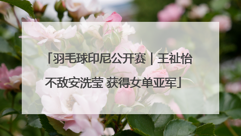 羽毛球印尼公开赛｜王祉怡不敌安洗莹 获得女单亚军