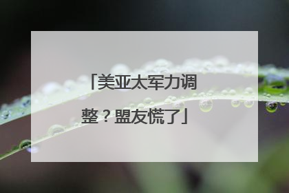 美亚太军力调整？盟友慌了