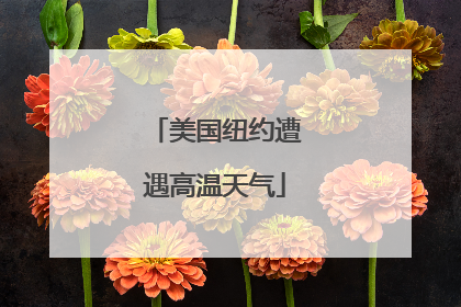 美国纽约遭遇高温天气