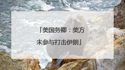 美国务卿：美方未参与打击伊朗