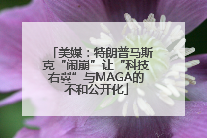 美媒：特朗普马斯克“闹崩”让“科技右翼”与MAGA的不和公开化