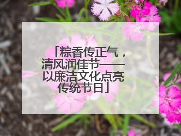 粽香传正气，清风润佳节——以廉洁文化点亮传统节日
