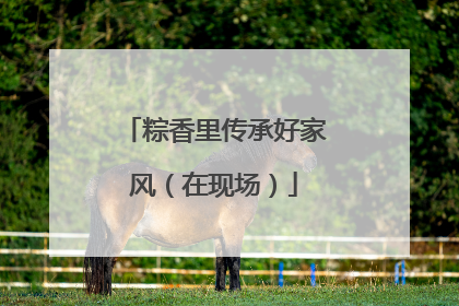 粽香里传承好家风（在现场）