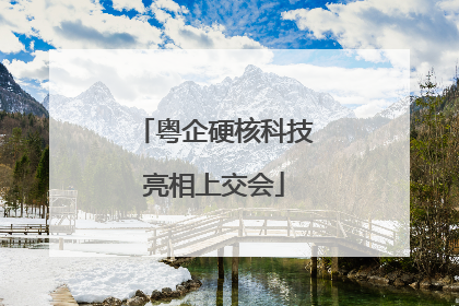 粤企硬核科技亮相上交会