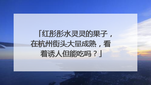 红彤彤水灵灵的果子，在杭州街头大量成熟，看着诱人但能吃吗？