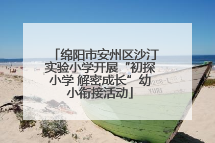 绵阳市安州区沙汀实验小学开展“初探小学 解密成长”幼小衔接活动