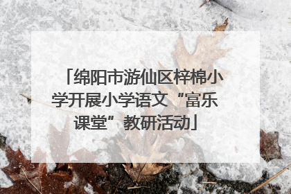 绵阳市游仙区梓棉小学开展小学语文“富乐课堂”教研活动