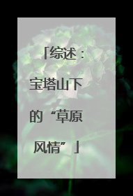 综述：宝塔山下的“草原风情”