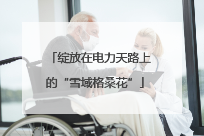 绽放在电力天路上的“雪域格桑花”