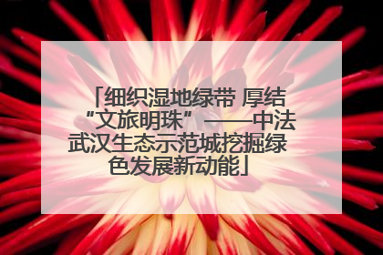 细织湿地绿带 厚结“文旅明珠”——中法武汉生态示范城挖掘绿色发展新动能