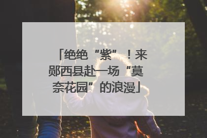 绝绝“紫”！来郧西县赴一场“莫奈花园”的浪漫