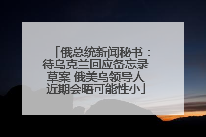 俄总统新闻秘书：待乌克兰回应备忘录草案 俄美乌领导人近期会晤可能性小