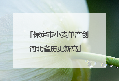 保定市小麦单产创河北省历史新高