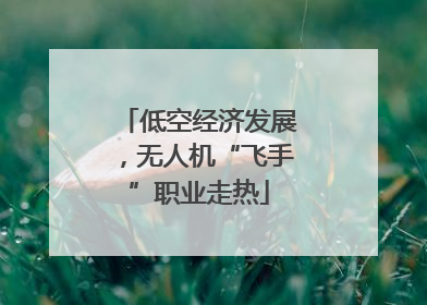 低空经济发展，无人机“飞手”职业走热