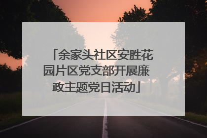 余家头社区安胜花园片区党支部开展廉政主题党日活动