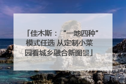 佳木斯：“一地四种” 模式任选 从定制小菜园看城乡融合新图景