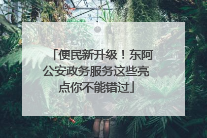 便民新升级！东阿公安政务服务这些亮点你不能错过