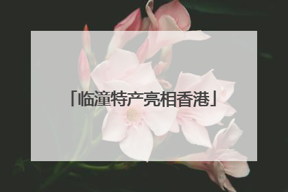 临潼特产亮相香港