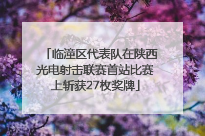 临潼区代表队在陕西光电射击联赛首站比赛上斩获27枚奖牌