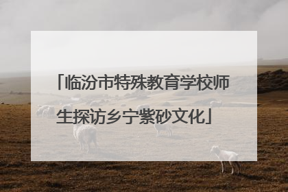临汾市特殊教育学校师生探访乡宁紫砂文化