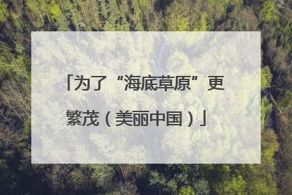 为了“海底草原”更繁茂（美丽中国）