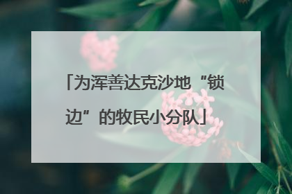 为浑善达克沙地“锁边”的牧民小分队