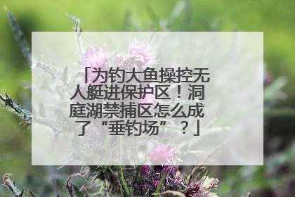 为钓大鱼操控无人艇进保护区！洞庭湖禁捕区怎么成了“垂钓场”？