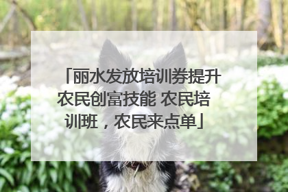 丽水发放培训券提升农民创富技能 农民培训班，农民来点单