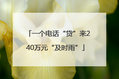 一个电话“贷”来240万元“及时雨”