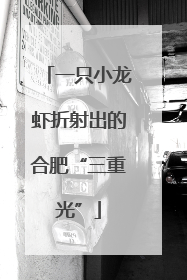 一只小龙虾折射出的合肥“三重光”