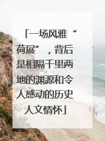 一场风雅“荷展”，背后是相隔千里两地的渊源和令人感动的历史人文情怀