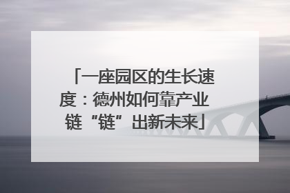 一座园区的生长速度：德州如何靠产业链“链”出新未来