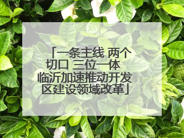 一条主线 两个切口 三位一体 临沂加速推动开发区建设领域改革
