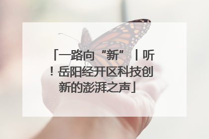 一路向“新”丨听！岳阳经开区科技创新的澎湃之声