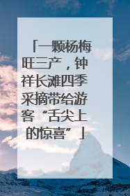 一颗杨梅旺三产，钟祥长滩四季采摘带给游客“舌尖上的惊喜”