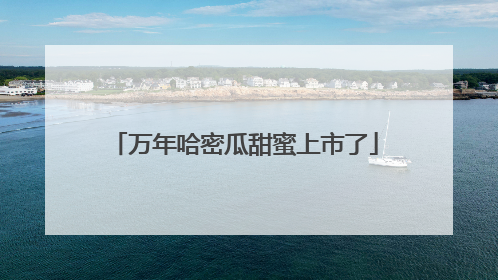 万年哈密瓜甜蜜上市了