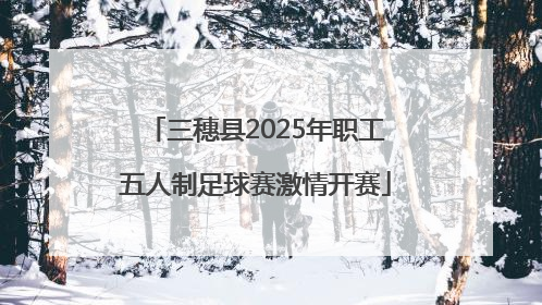 三穗县2025年职工五人制足球赛激情开赛