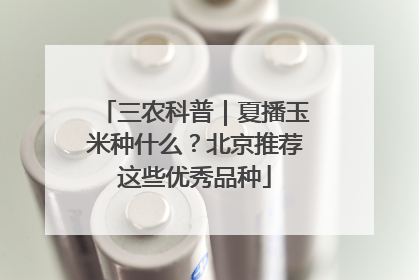 三农科普｜夏播玉米种什么？北京推荐这些优秀品种