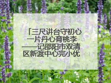 三尺讲台守初心 一片丹心育桃李——记邵阳市双清区新渡中心完小优秀教师姚丹