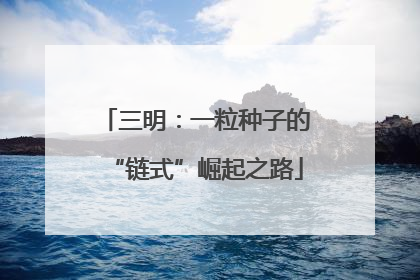 三明：一粒种子的“链式”崛起之路