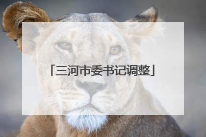 三河市委书记调整