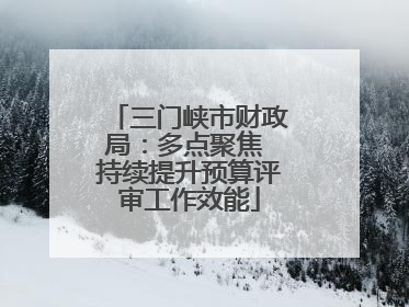 三门峡市财政局：多点聚焦 持续提升预算评审工作效能