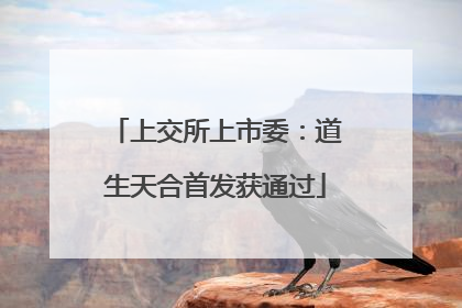 上交所上市委：道生天合首发获通过
