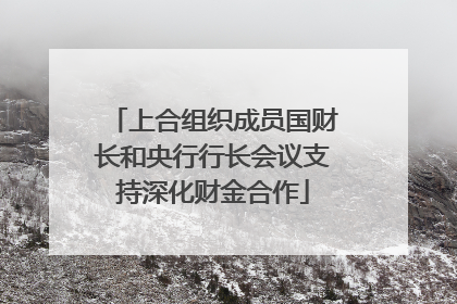 上合组织成员国财长和央行行长会议支持深化财金合作