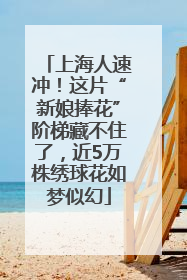 上海人速冲！这片“新娘捧花”阶梯藏不住了，近5万株绣球花如梦似幻