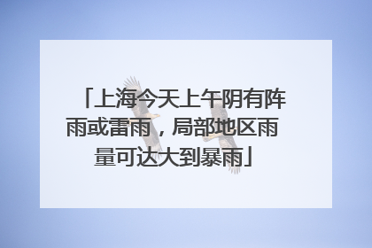 上海今天上午阴有阵雨或雷雨，局部地区雨量可达大到暴雨