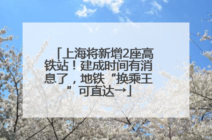上海将新增2座高铁站！建成时间有消息了，地铁“换乘王”可直达→